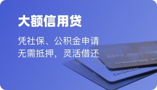 大额信用贷